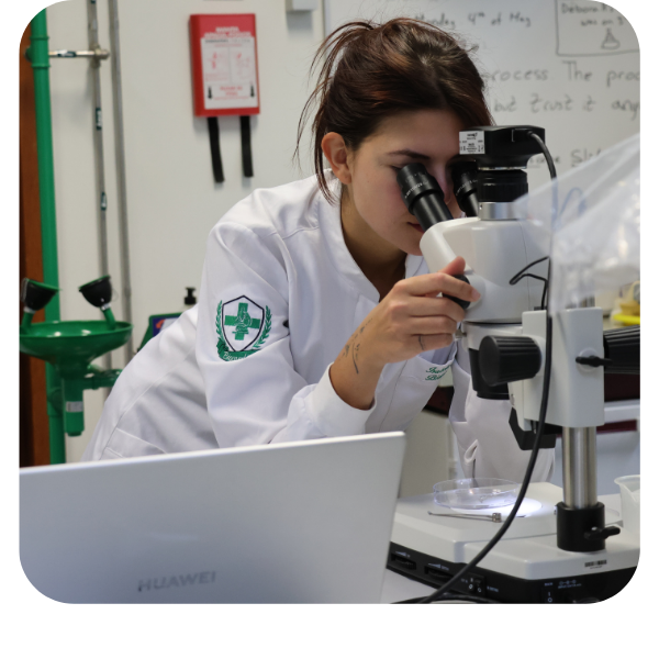 Investigadora do projeto salplus