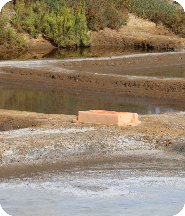 valorização das salinas tradicionais