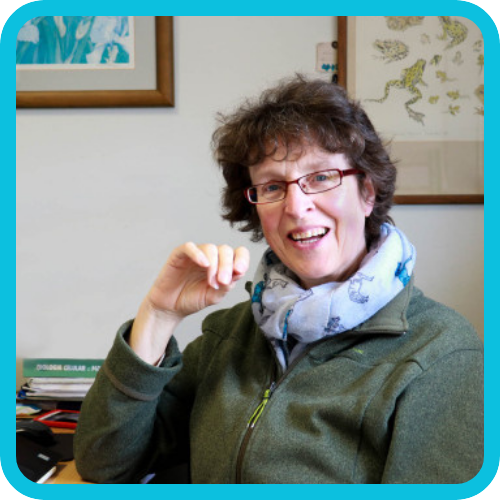 Professora Deborah Mary Power